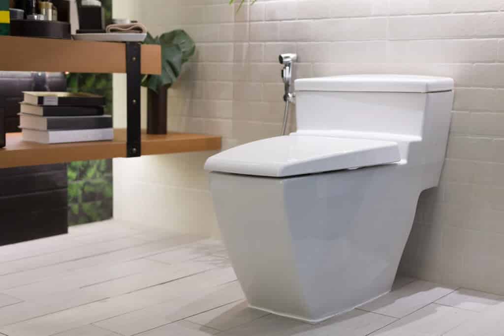 5 Best Bidet Attachment of 2022: Affordable Toilet Options