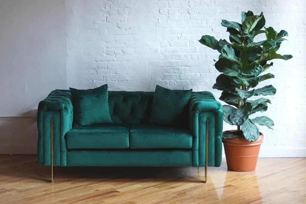 green couch living room