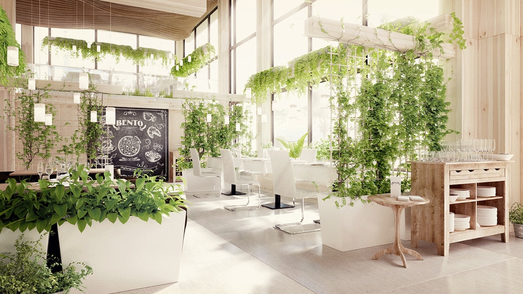 restaurant interior design: Infuse Greenery