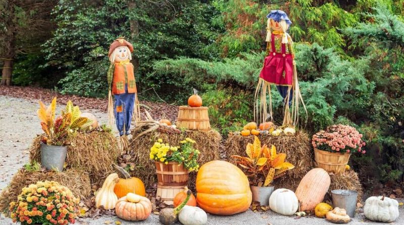 Rustic Thanksgiving Decorations Ideas