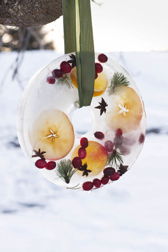 Winter Ice Wreath
