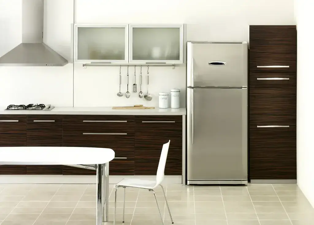 Home Renovation Projects to Reduce Electricity Bills by Replace Your Refrigerator