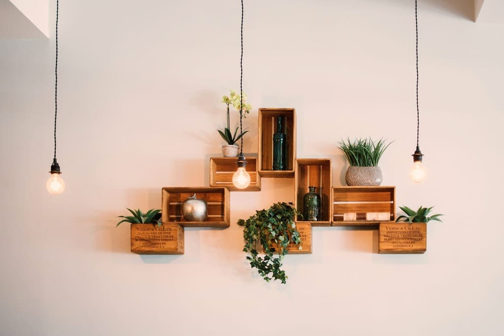 Ways to Decorate Your Indoor Plants