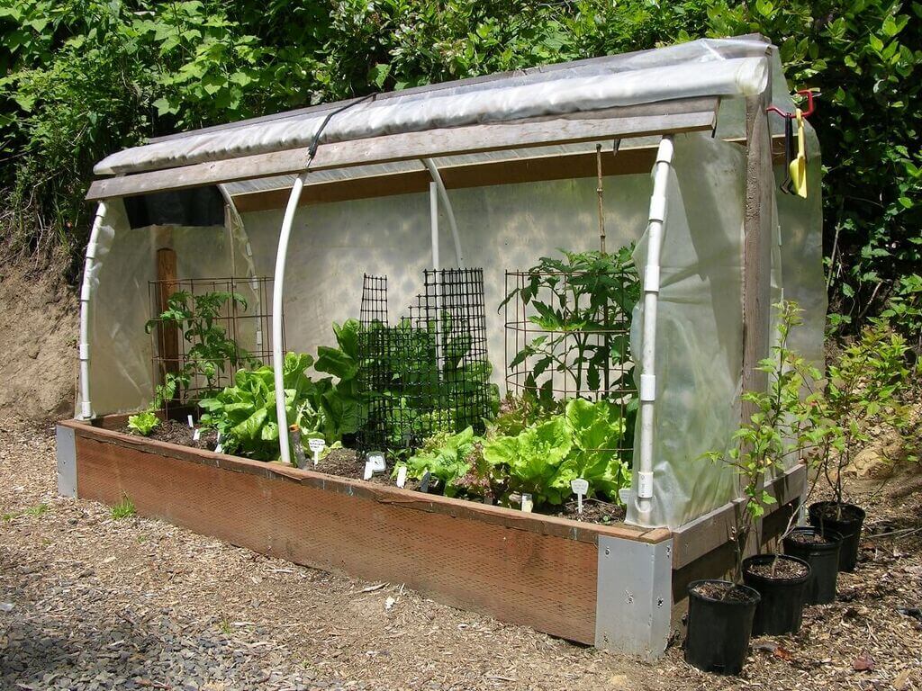A garden in a greenhouse with plants growing inside of it
