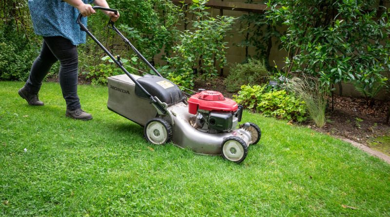 Preparing Your Grass for Spring
