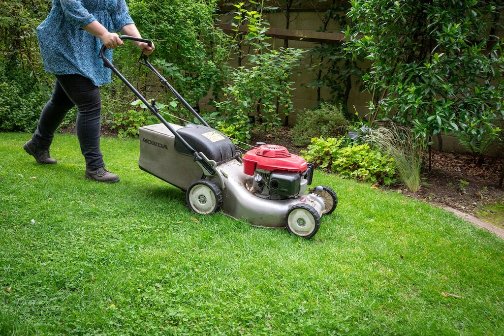 Preparing Your Grass for Spring