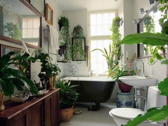Potted Plants for Small Bathroom Design Ideas