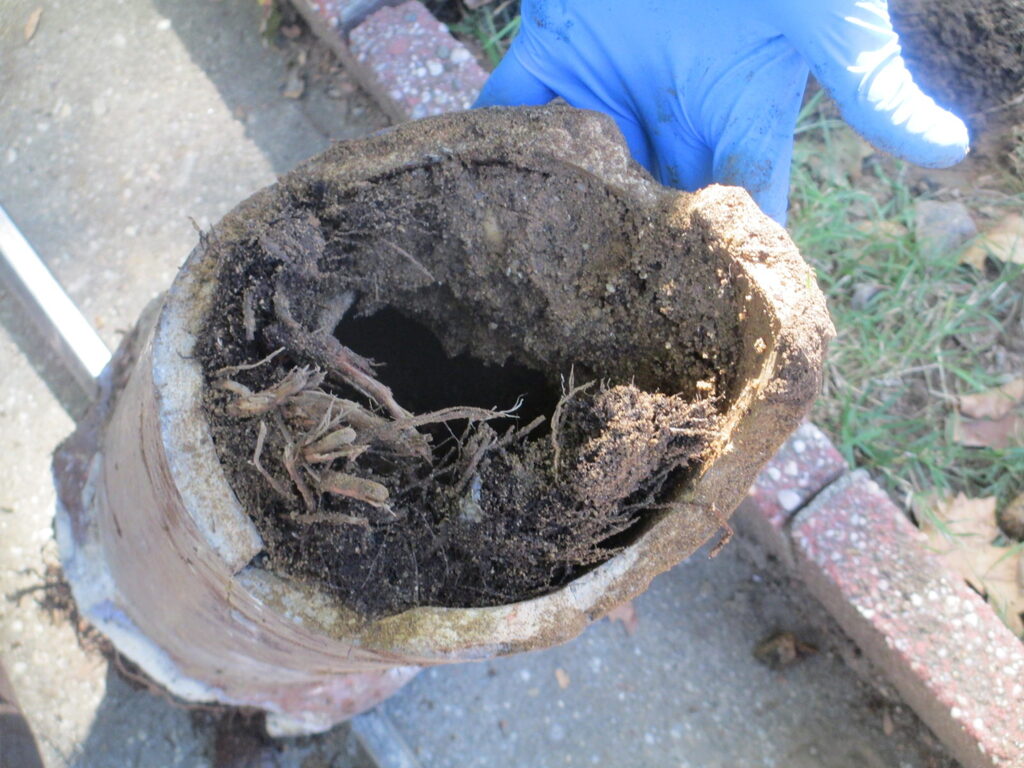 Collapsed Sewer Lines