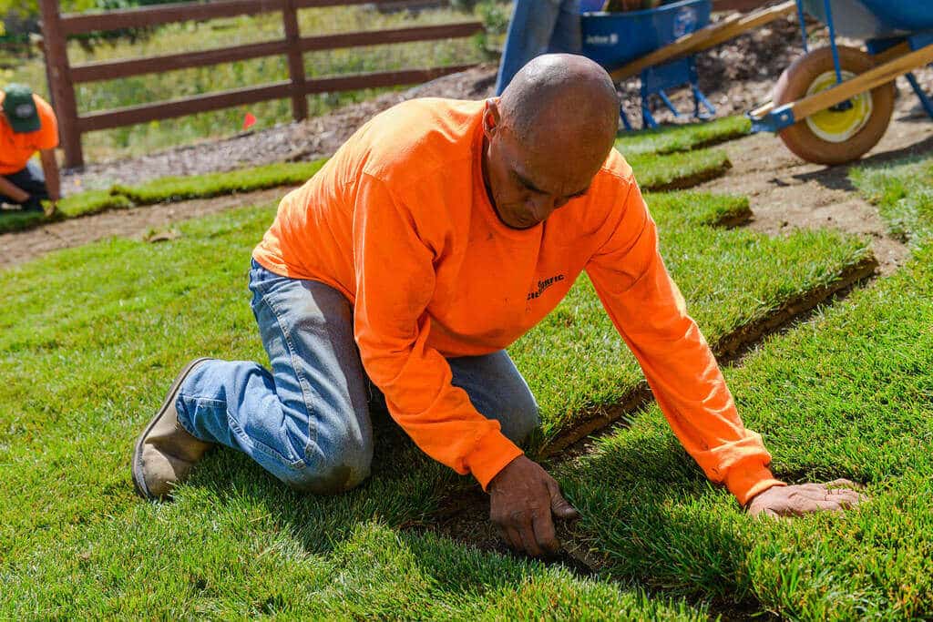Step-By-Step Guide to Hiring the Best Sod Installers