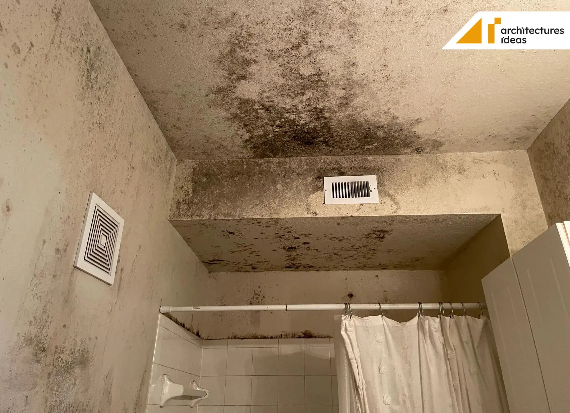 Mold Bathroom Ceiling How To Remove Mold Like A Pro Architectures Ideas 4721