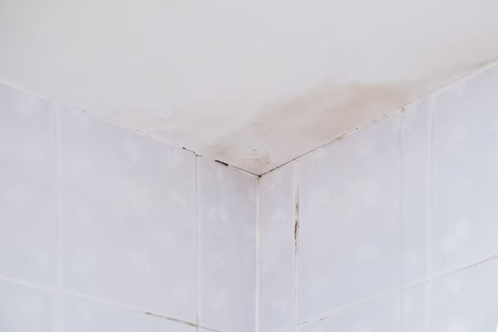  Mold On The Bathroom Ceiling