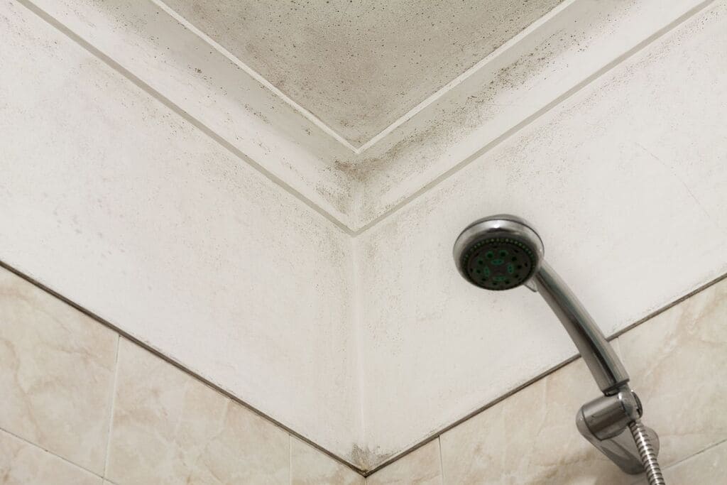 Mold Bathroom Ceiling: How to Remove Mold Like a Pro