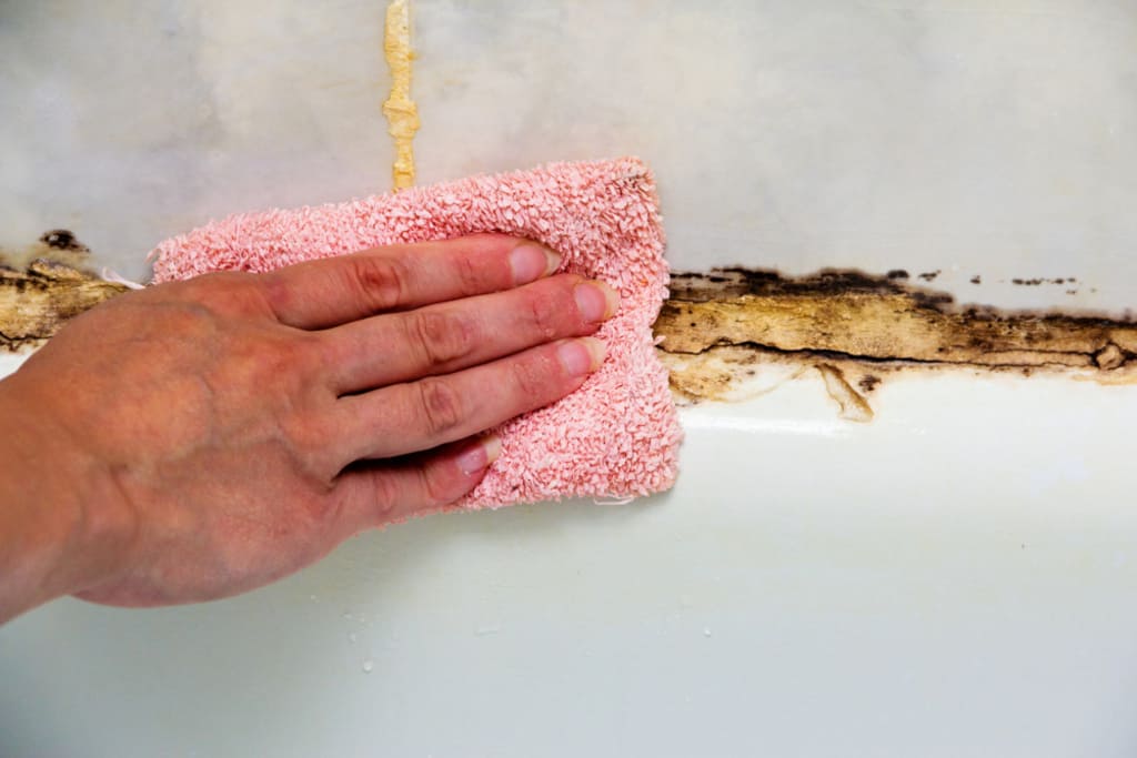 Useful Methods to Prevent Mold in Bathrooms