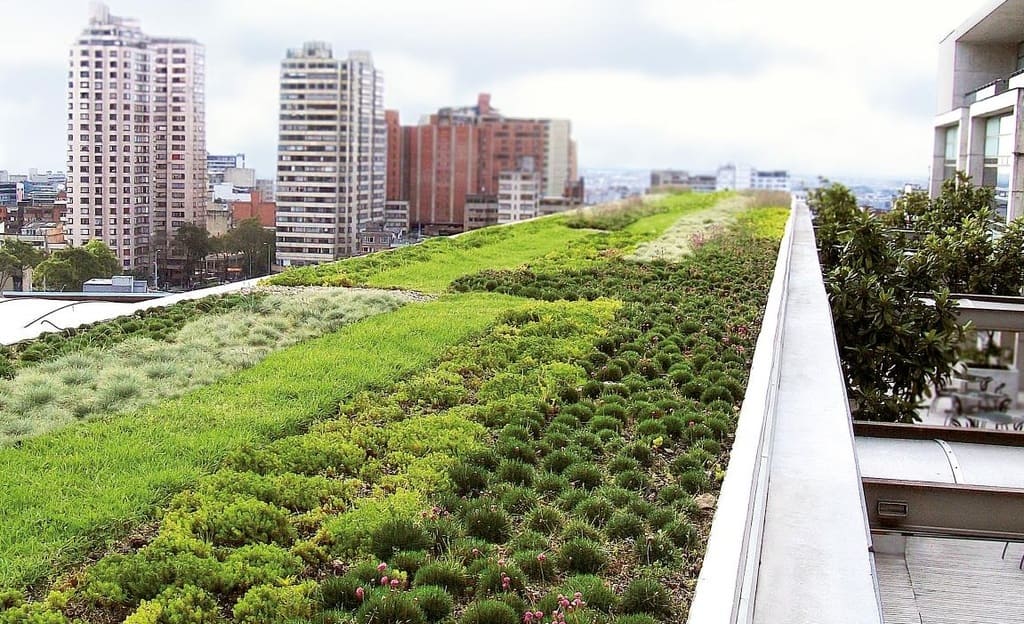 A green roof on a building in a city
