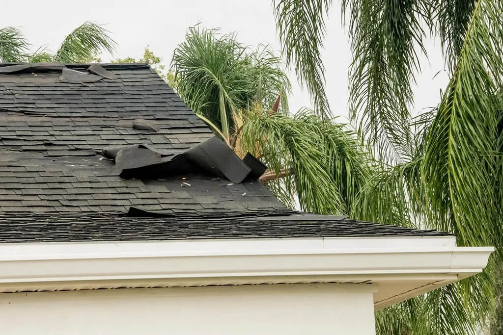 Leaky Roof Repair
