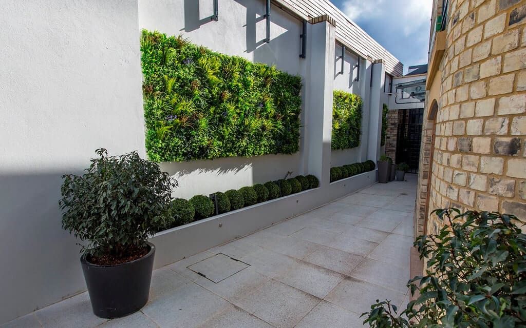 A Living Wall for Privacy to Your Backyard