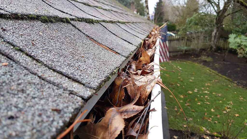 Clogged Gutters Roof Repair