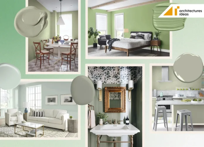Sage Green Color Ideas
