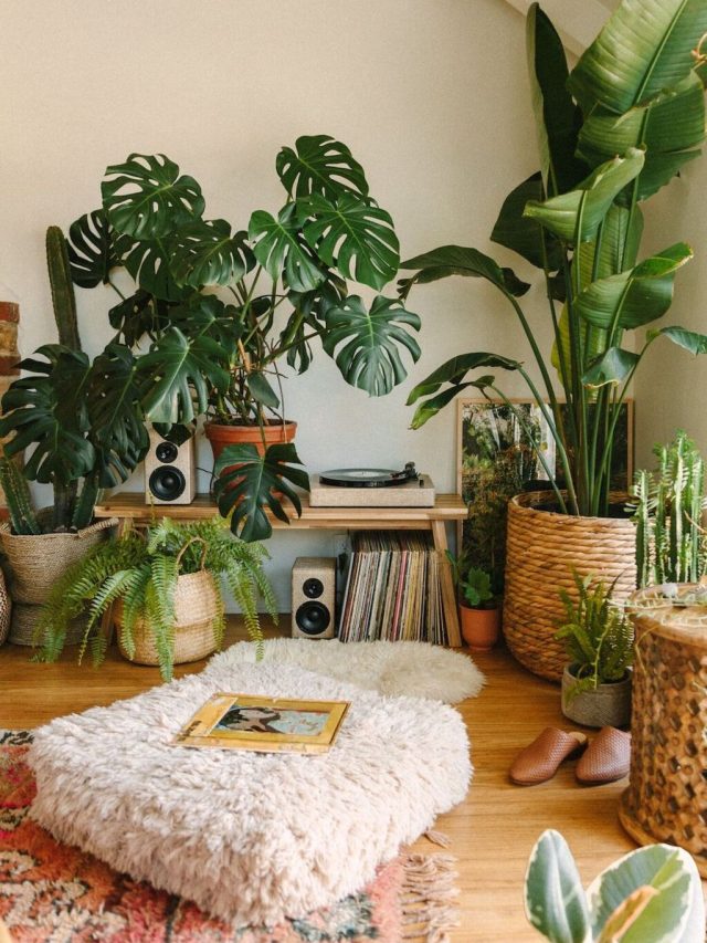 Best Boho Living Room Decor Ideas