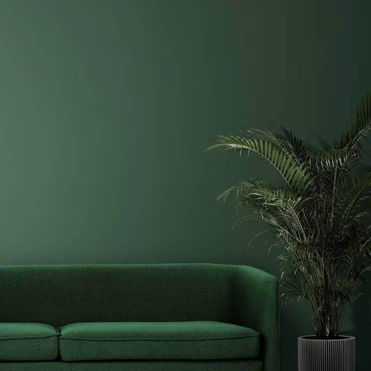 sage green color idea with green sofa