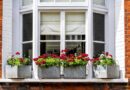 How Much Does Window Replacement Cost for Your Home?