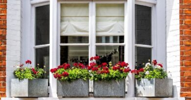 How Much Does Window Replacement Cost for Your Home?