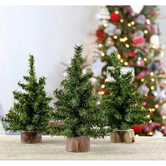 Canadian Pine Christmas Tree