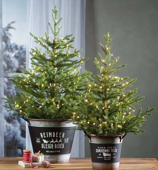 Galvanized Bucket Mini Christmas Trees
