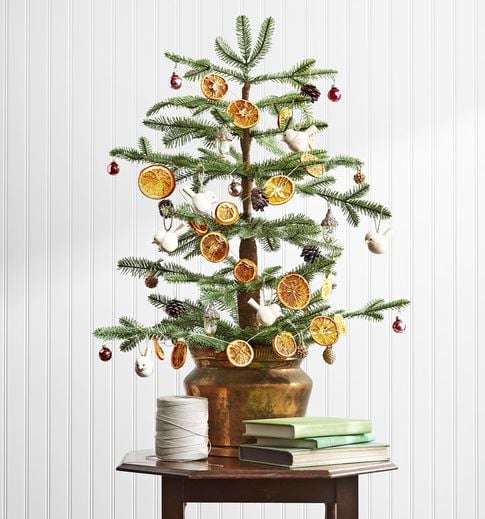 Organic Christmas Tree