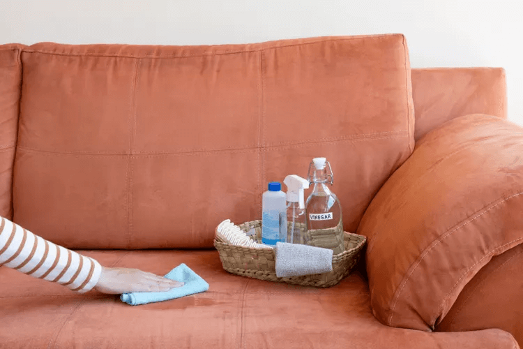 Couch Cleaning product