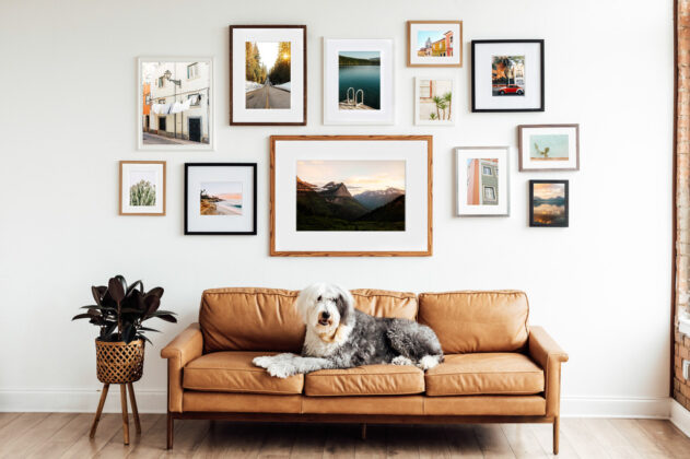 Unveiling the Power of Framed Photos in Interior Design - Architectures ...