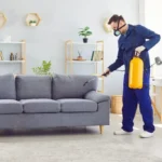Pest Control in rental property